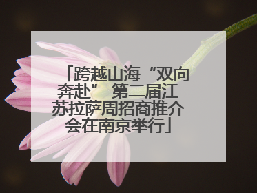 跨越山海“双向奔赴” 第二届江苏拉萨周招商推介会在南京举行