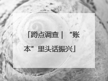 蹲点调查｜“账本”里头话振兴