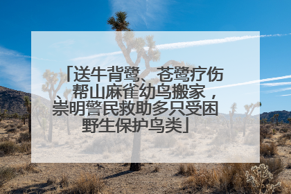 送牛背鹭、苍鹭疗伤、帮山麻雀幼鸟搬家，崇明警民救助多只受困野生保护鸟类