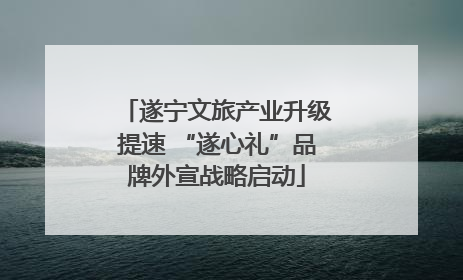 遂宁文旅产业升级提速 “遂心礼”品牌外宣战略启动