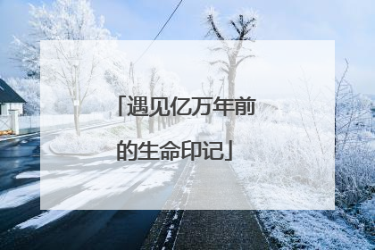 遇见亿万年前的生命印记