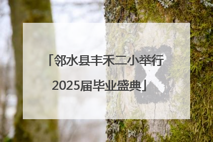 邻水县丰禾二小举行2025届毕业盛典