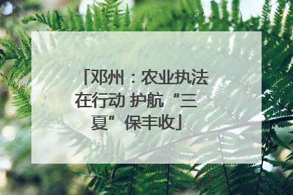 邓州：农业执法在行动 护航“三夏”保丰收