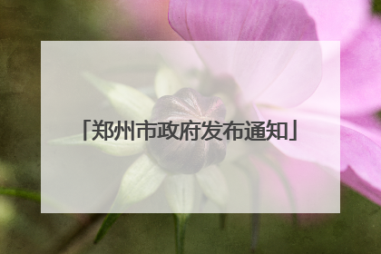 郑州市政府发布通知
