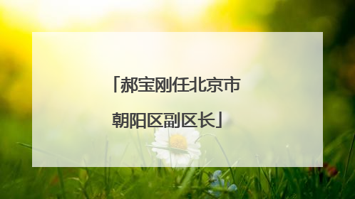 郝宝刚任北京市朝阳区副区长