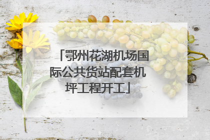 鄂州花湖机场国际公共货站配套机坪工程开工