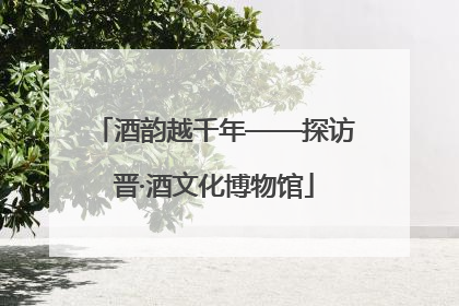酒韵越千年——探访晋·酒文化博物馆