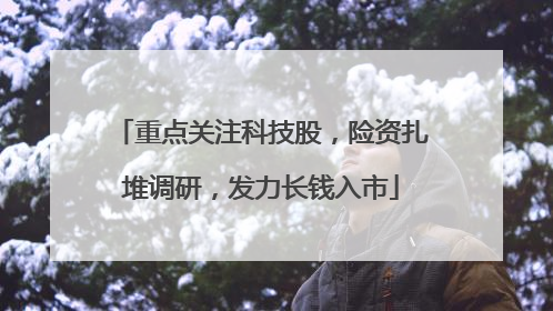 重点关注科技股，险资扎堆调研，发力长钱入市