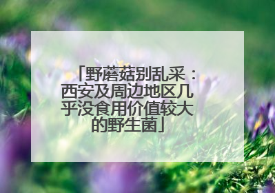 野蘑菇别乱采：西安及周边地区几乎没食用价值较大的野生菌