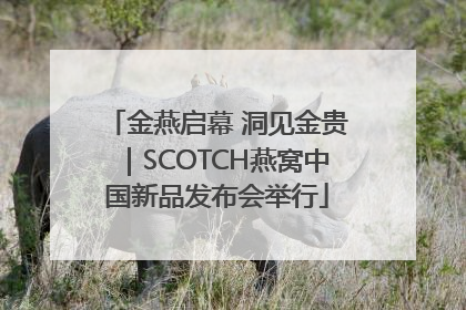 金燕启幕 洞见金贵｜SCOTCH燕窝中国新品发布会举行