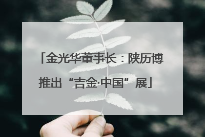 金光华董事长：陕历博推出“吉金·中国”展