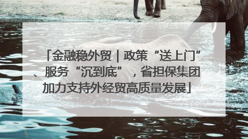 金融稳外贸｜政策“送上门”、服务“沉到底”，省担保集团加力支持外经贸高质量发展