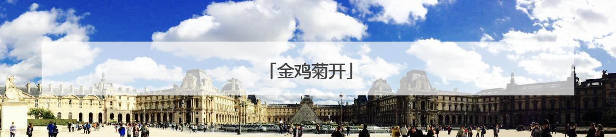 金鸡菊开