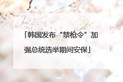 韩国发布“禁枪令”加强总统选举期间安保
