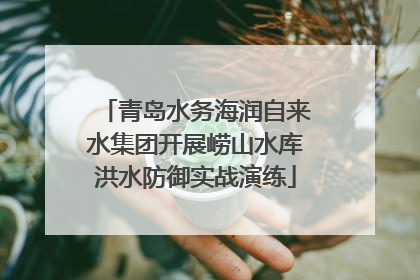 青岛水务海润自来水集团开展崂山水库洪水防御实战演练