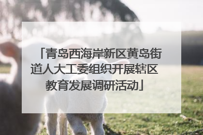 青岛西海岸新区黄岛街道人大工委组织开展辖区教育发展调研活动