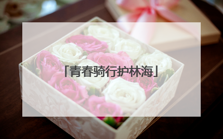 青春骑行护林海