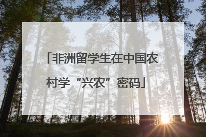 非洲留学生在中国农村学“兴农”密码