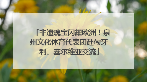 非遗瑰宝闪耀欧洲！泉州文化体育代表团赴匈牙利、塞尔维亚交流