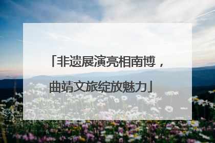 非遗展演亮相南博，曲靖文旅绽放魅力