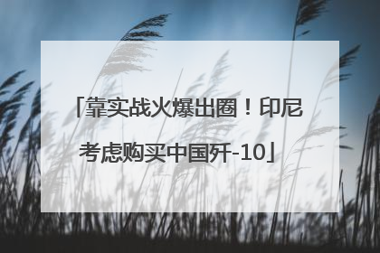 靠实战火爆出圈！印尼考虑购买中国歼-10