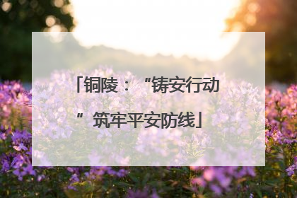 铜陵：“铸安行动”筑牢平安防线