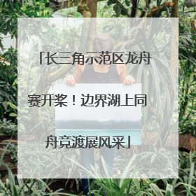 长三角示范区龙舟赛开桨！边界湖上同舟竞渡展风采