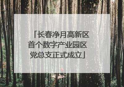 长春净月高新区首个数字产业园区党总支正式成立