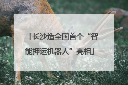 长沙造全国首个“智能押运机器人”亮相