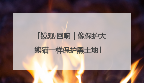 镜观·回响｜像保护大熊猫一样保护黑土地