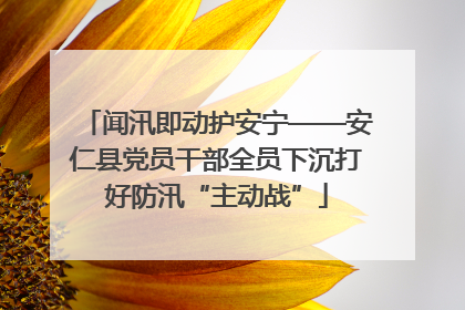 闻汛即动护安宁——安仁县党员干部全员下沉打好防汛“主动战”