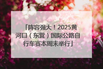 阵容强大！2025黄河口（东营）国际公路自行车赛本周末举行
