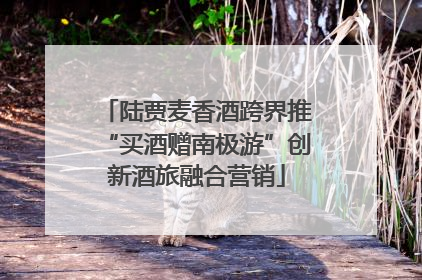 陆贾麦香酒跨界推“买酒赠南极游”创新酒旅融合营销
