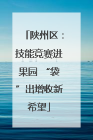 陕州区：技能竞赛进果园 “袋”出增收新希望