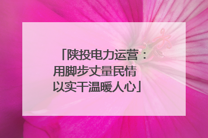 陕投电力运营：用脚步丈量民情 以实干温暖人心