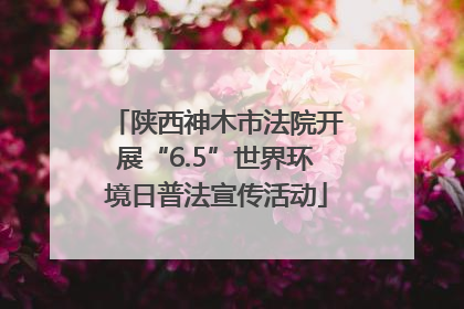 陕西神木市法院开展“6.5”世界环境日普法宣传活动