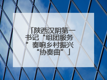 陕西汉阴第一书记“组团服务”奏响乡村振兴“协奏曲”