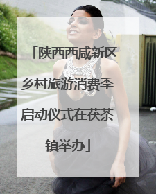 陕西西咸新区乡村旅游消费季启动仪式在茯茶镇举办