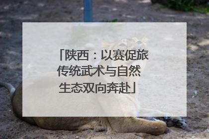 陕西：以赛促旅 传统武术与自然生态双向奔赴