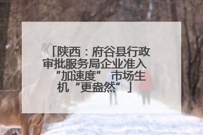 陕西：府谷县行政审批服务局企业准入“加速度” 市场生机“更盎然”