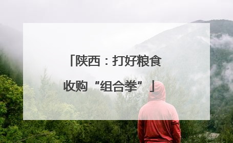 陕西：打好粮食收购“组合拳”