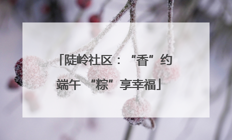 陡岭社区：“香”约端午 “粽”享幸福