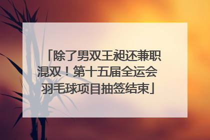除了男双王昶还兼职混双！第十五届全运会羽毛球项目抽签结束