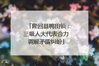 隆回县鸭田镇：三级人大代表合力调解矛盾纠纷