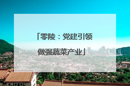 零陵：党建引领 做强蔬菜产业