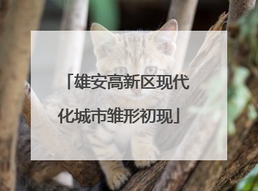 雄安高新区现代化城市雏形初现