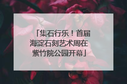 集石行乐！首届海淀石刻艺术周在紫竹院公园开幕