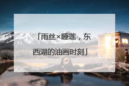 雨丝×睡莲，东西湖的油画时刻