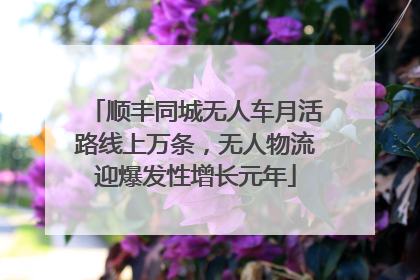 顺丰同城无人车月活路线上万条，无人物流迎爆发性增长元年