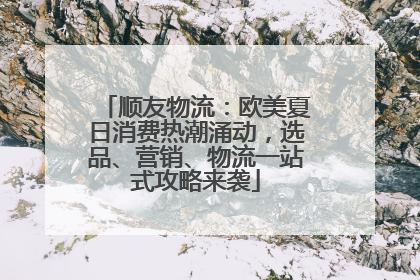 顺友物流：欧美夏日消费热潮涌动，选品、营销、物流一站式攻略来袭